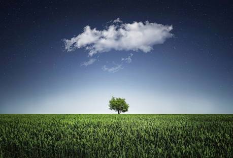 Tree, Clouds, Field, Grass, Meadow, Horizon, Sky