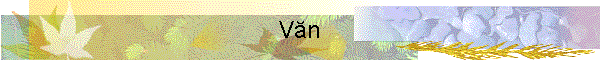 Văn